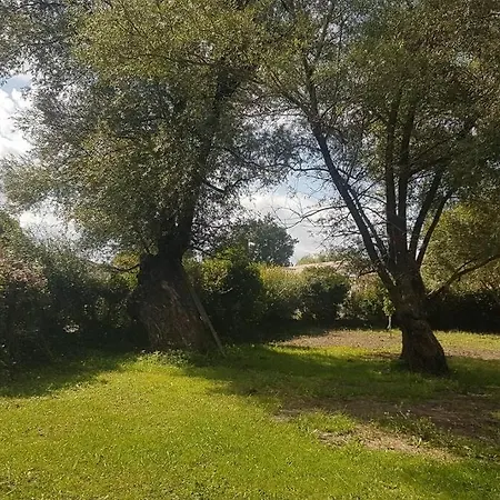 Demeure En Pierre Avec Piscine Privée Villa Etauliers